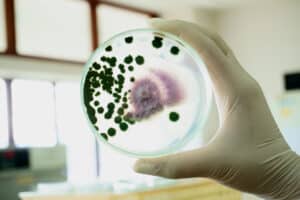 Biologische agentia